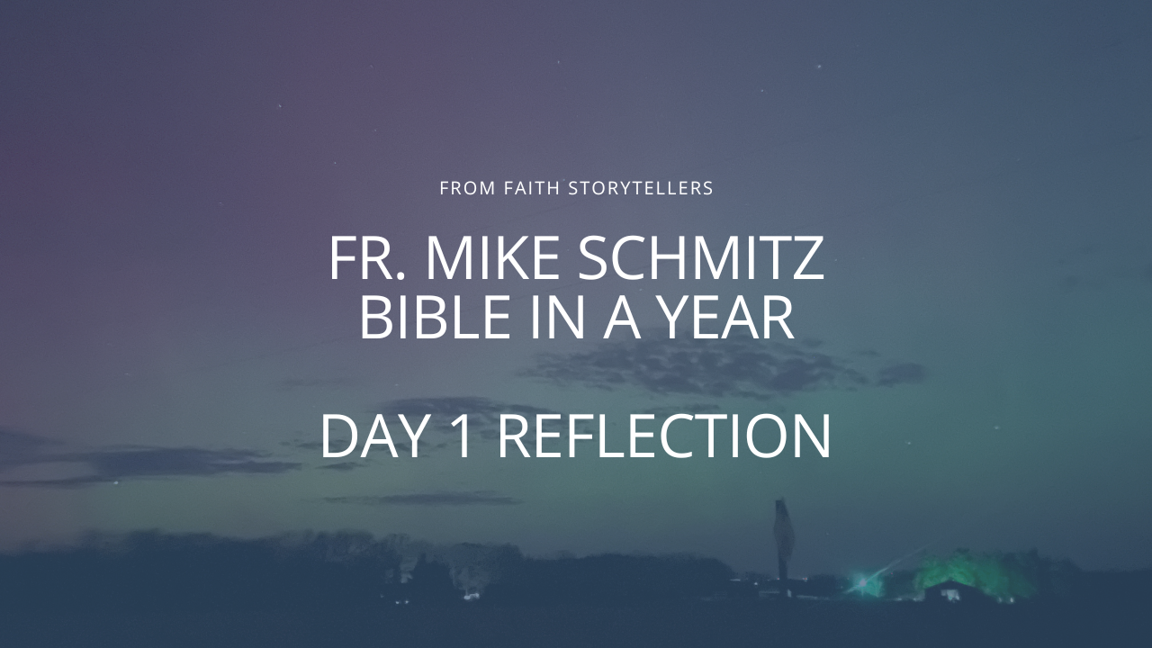 An image of the the northern lights taken from Iowa in 2025. The text over the photo says, "From Faith Storytellers: Fr. Mike Schmitz Bible in a Year Day 1 Reflection."