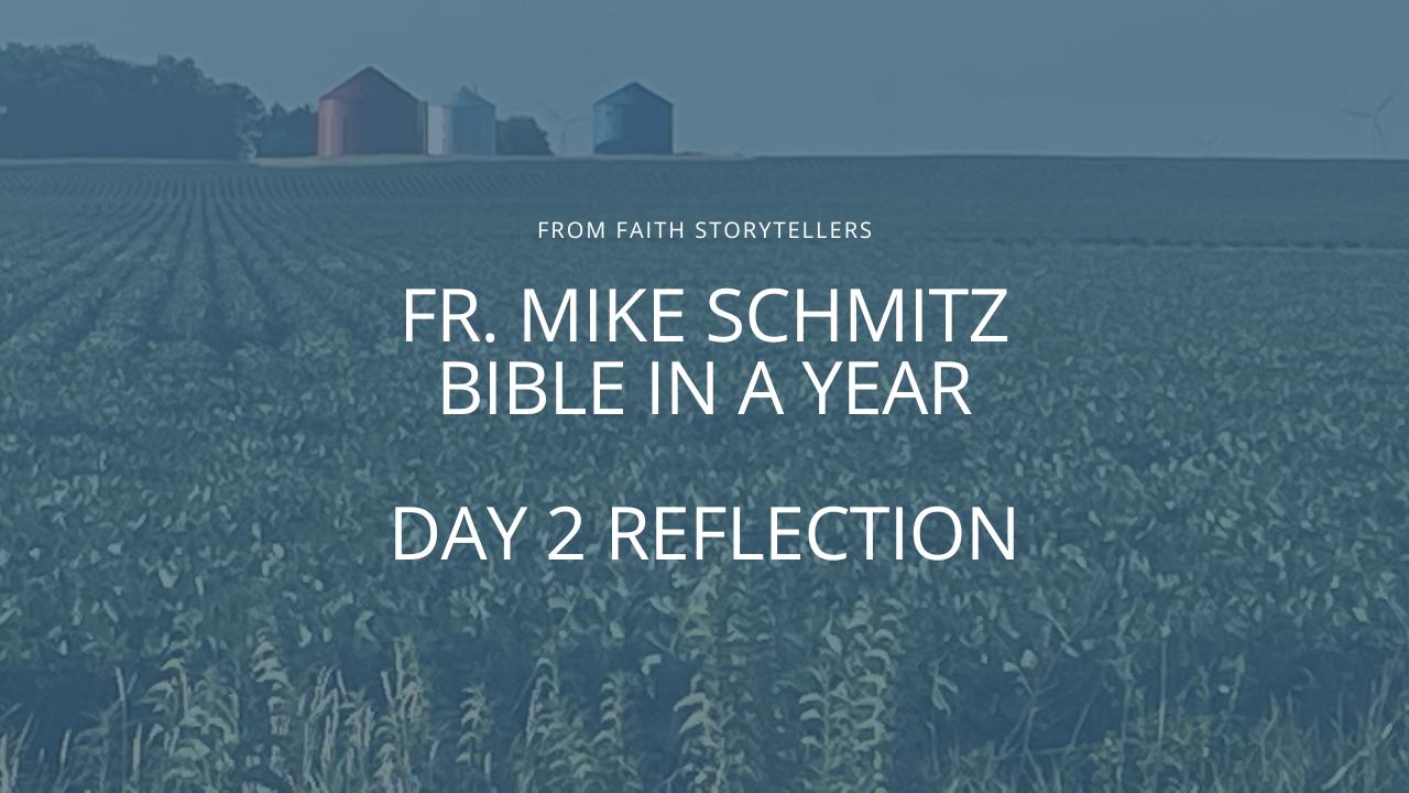 Fr. Mike Schmitz ‘Bible in a Year’ Day 2 Reflection: God continues to provide