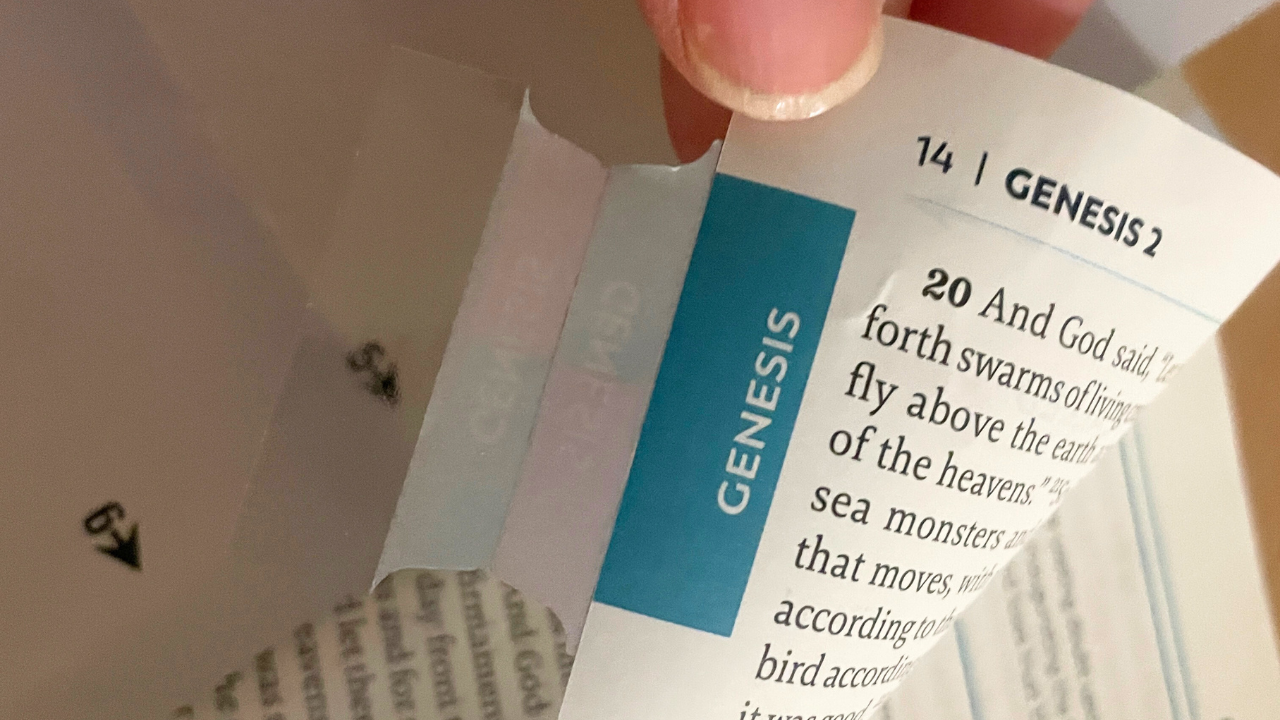 An image of Mackenzie applying a Bible tab. Here's a tutorial on how to put on Bible tabs.