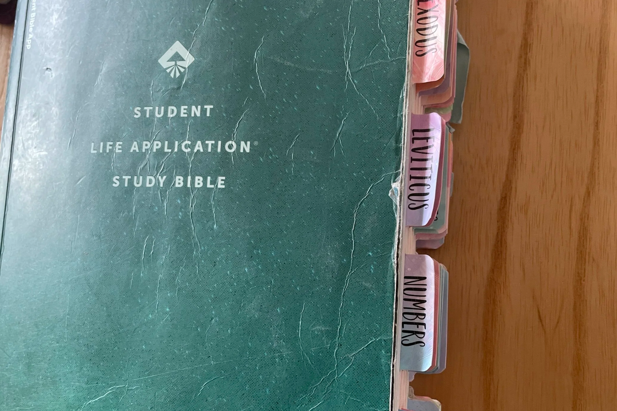 An image of Mackenzie's student life application study Bible, which she used with her youth group girls. She bought Bible tabs to make finding specific Scripture better.
