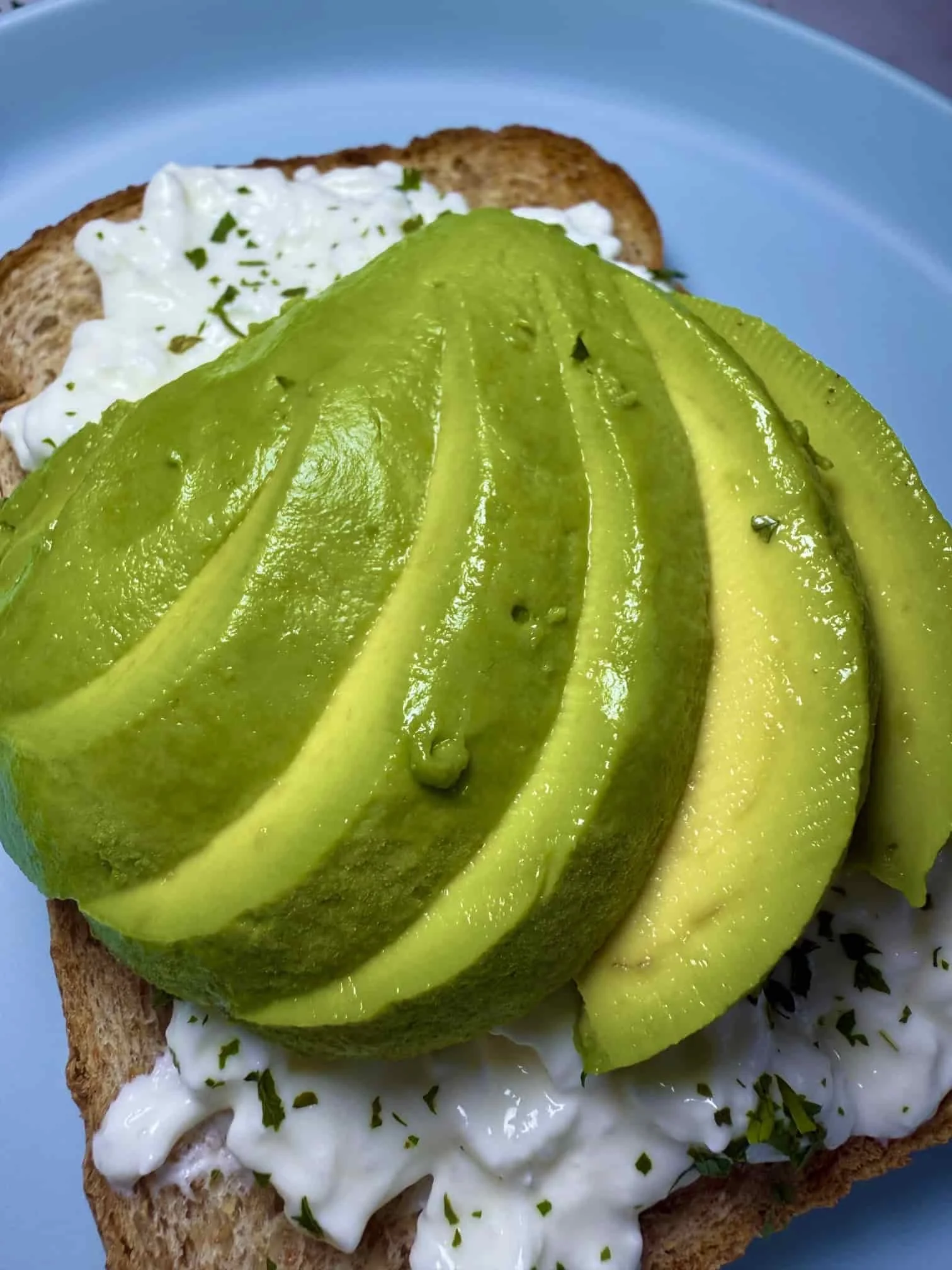 A Delicious Avocado Cottage Cheese Toast Recipe