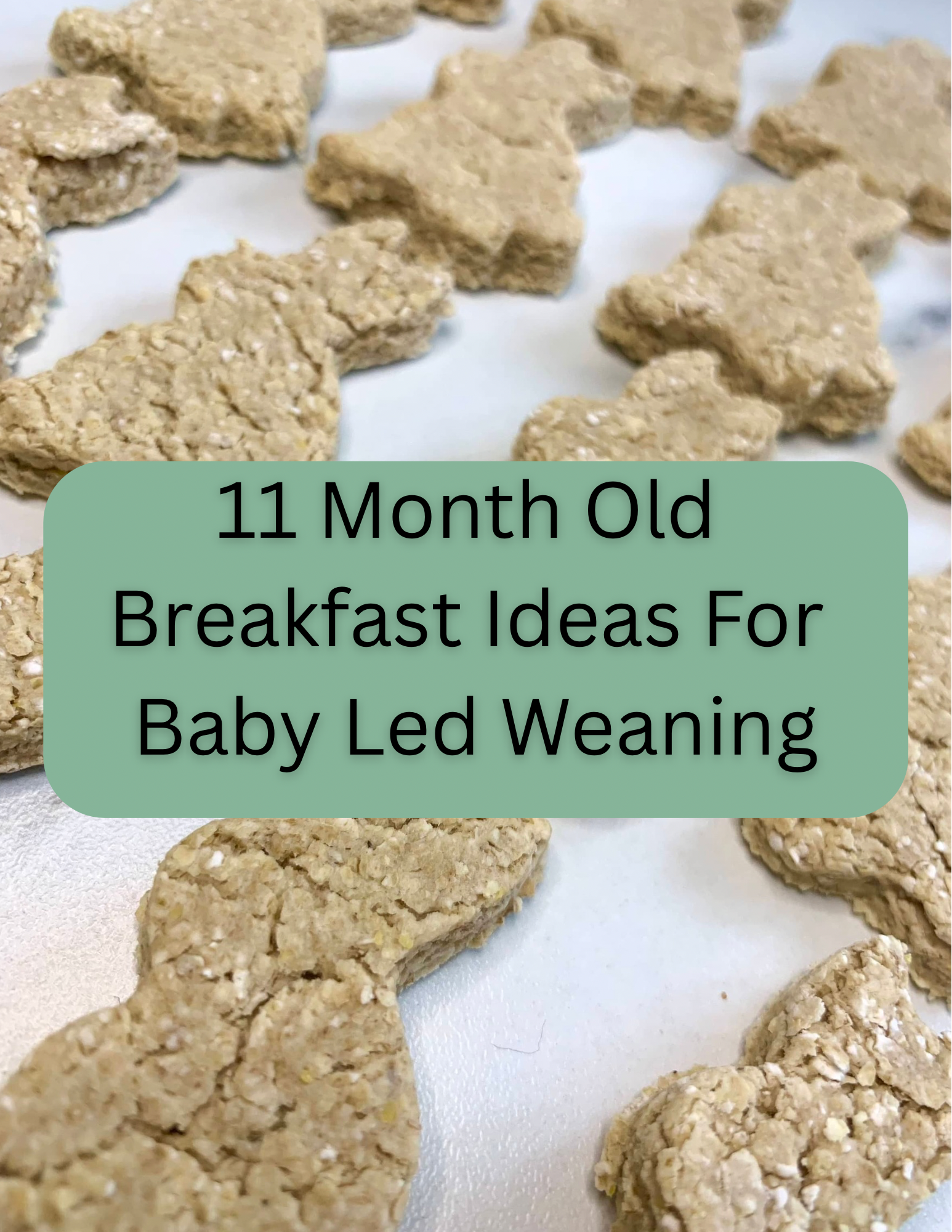 11 Month Old Breakfast Ideas For Baby Led Weaning