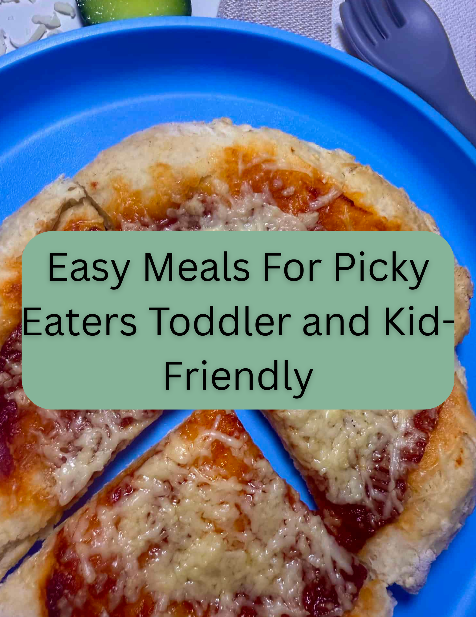 Easy Meals For Picky Eaters Toddler and Kid-Friendly
