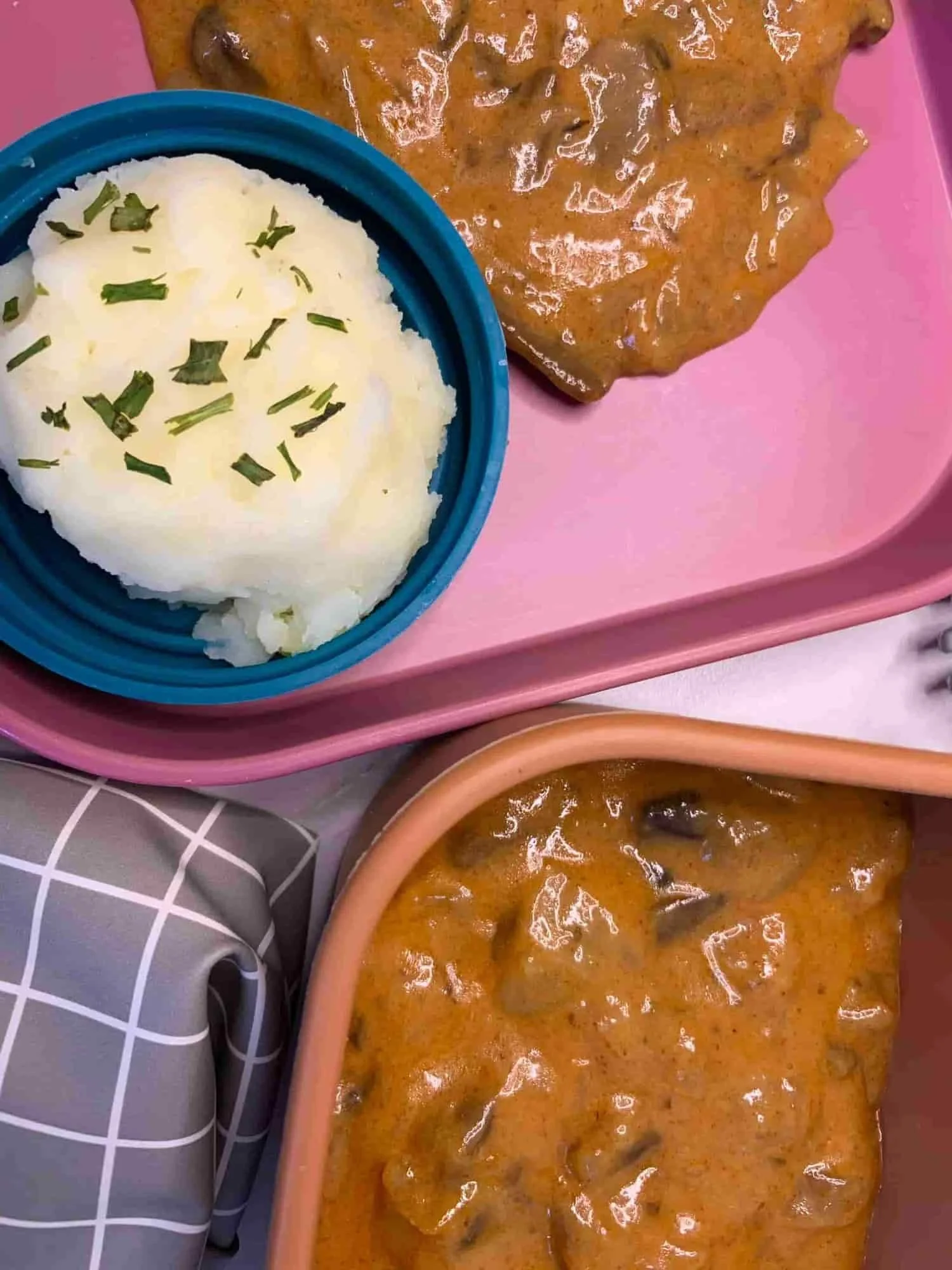 Close up toddler sized serving of mushroom stroganoff with rice