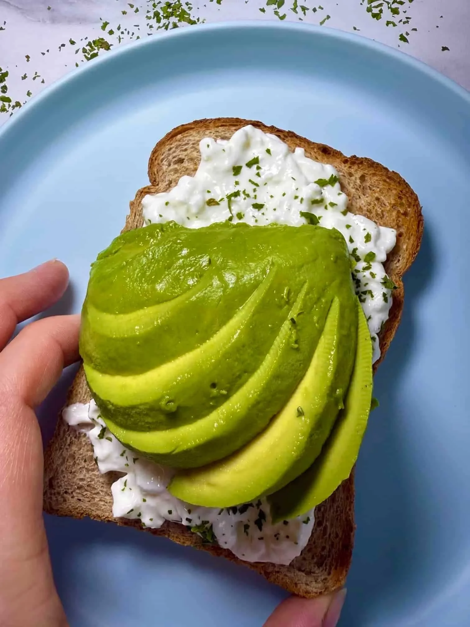 A close up image of slices of avocado on top of toast spread with cottage cheese and herbs