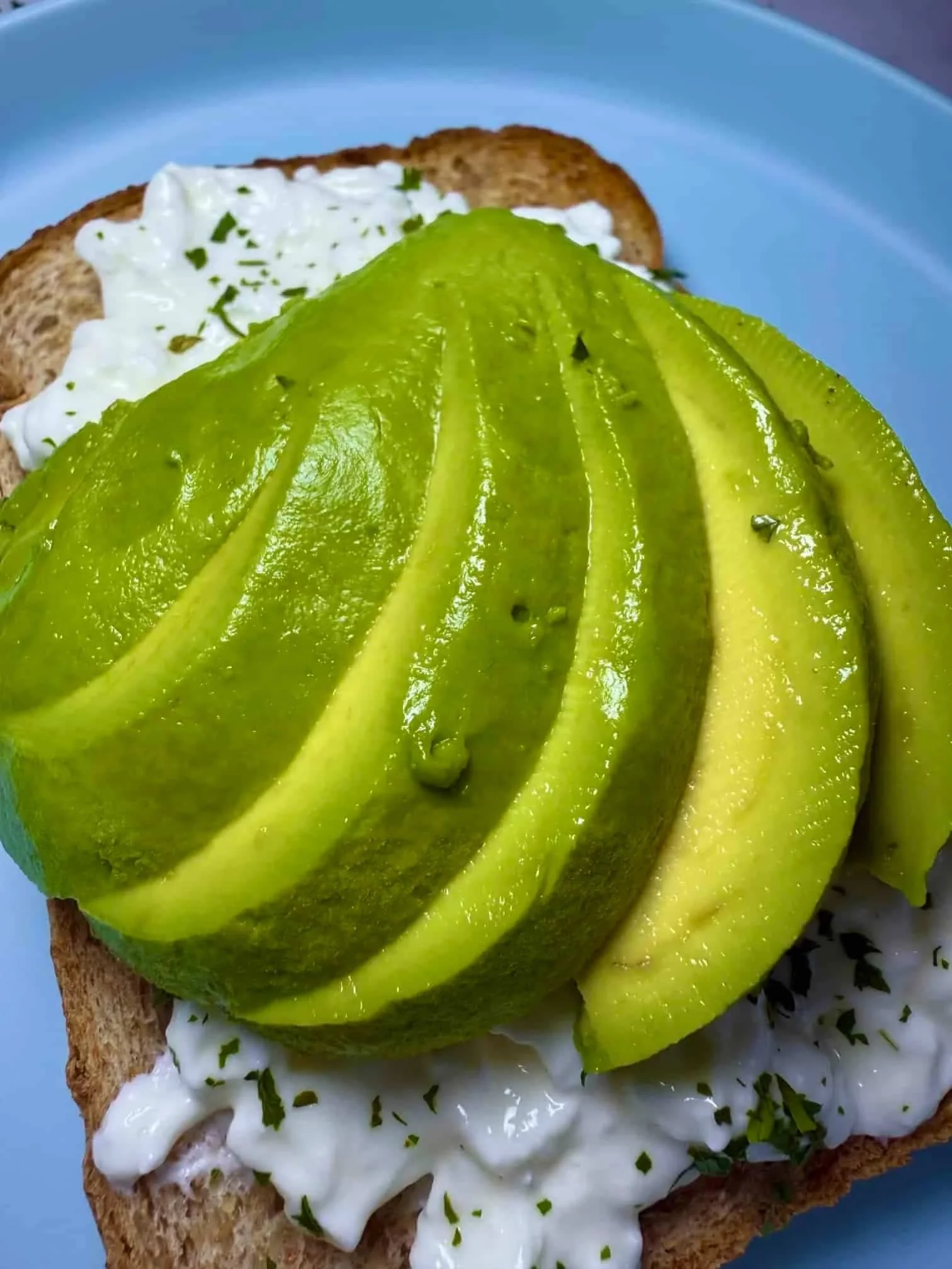 A close up image of slices of avocado on top of toast spread with cottage cheese and herbs