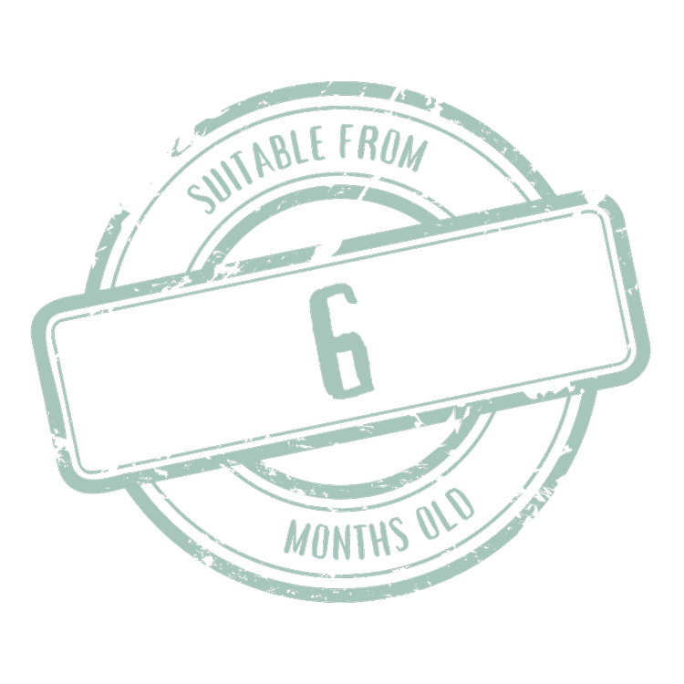 Slow cooked Beef Stew Babyled Weaning & Toddler Recipe