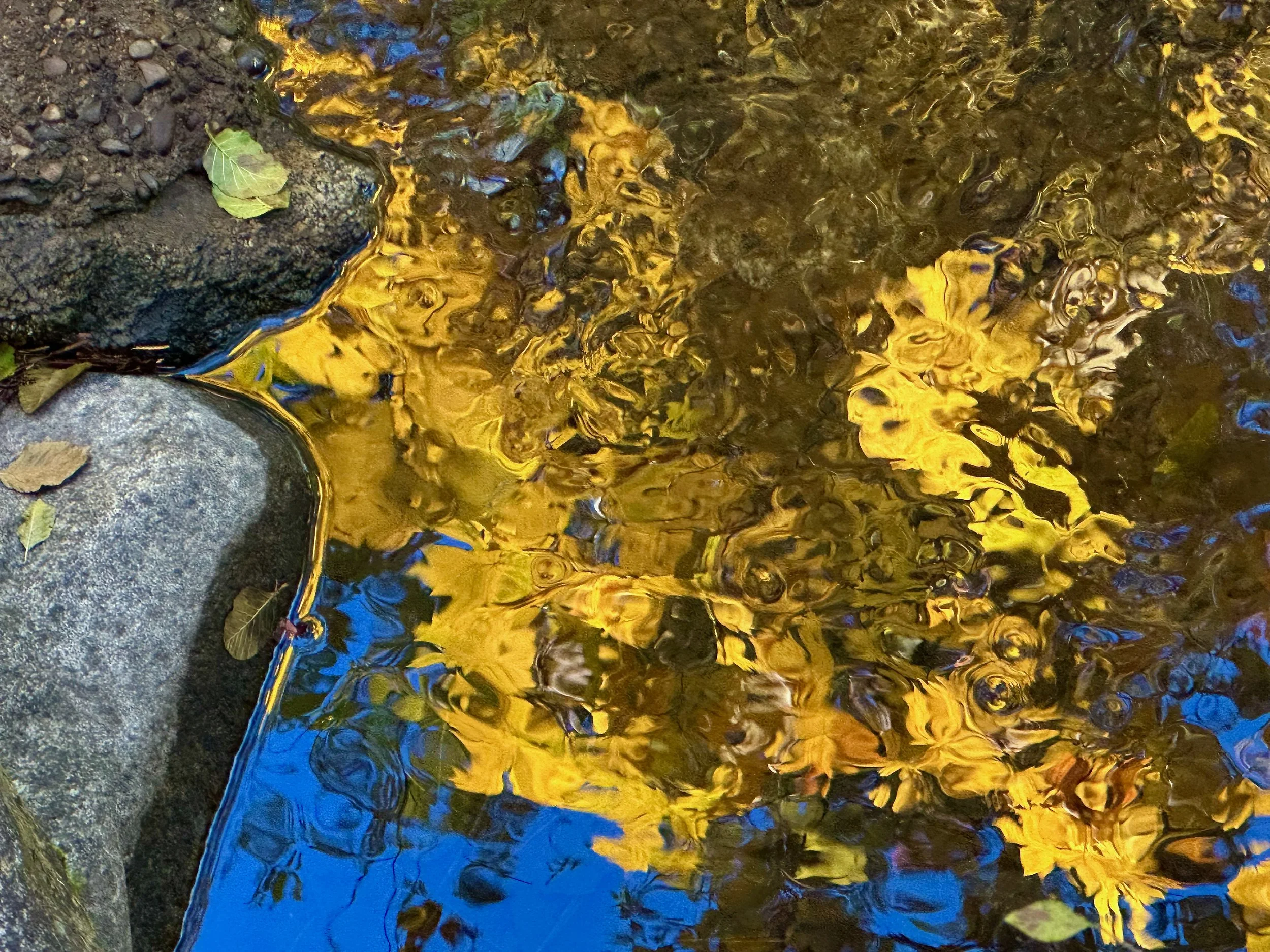 The Vastness of Tiny Beauty