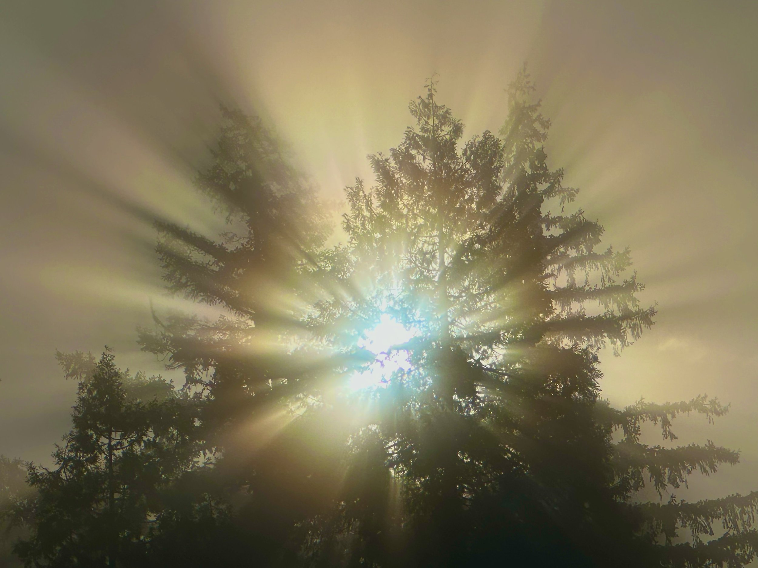 This Timeless Moment