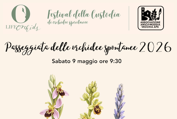 Passeggiata delle orchidee spontanee 2026 a Muggia (TS)