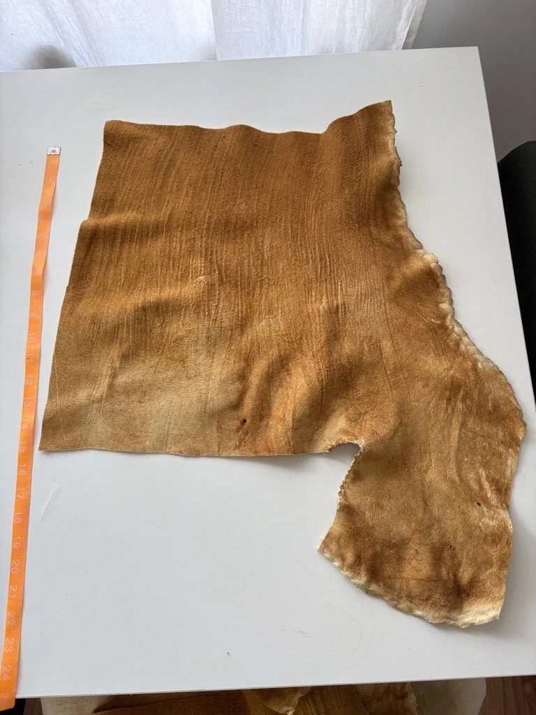 Deer hide 1