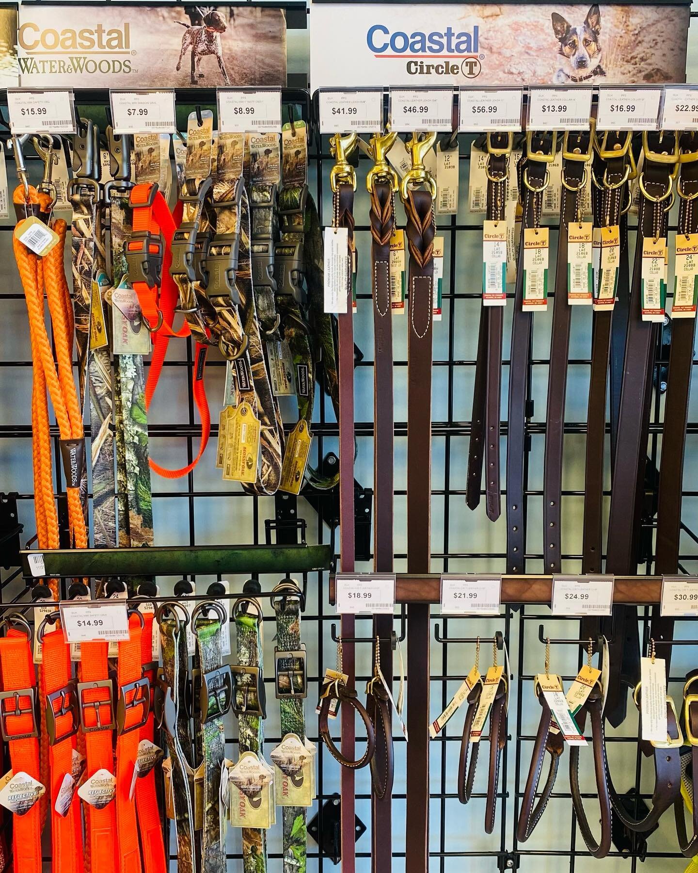 All coastal high quality leather and water &amp; woods collars / leashes 20% off!! Come and get while supplies last!
-
-
-
#petstore #inmanpetshop #pets #pet #dog #dogs #petlovers #inman #doglovers #petsofinstagram #cat #petstagram #petsupplies #cats
