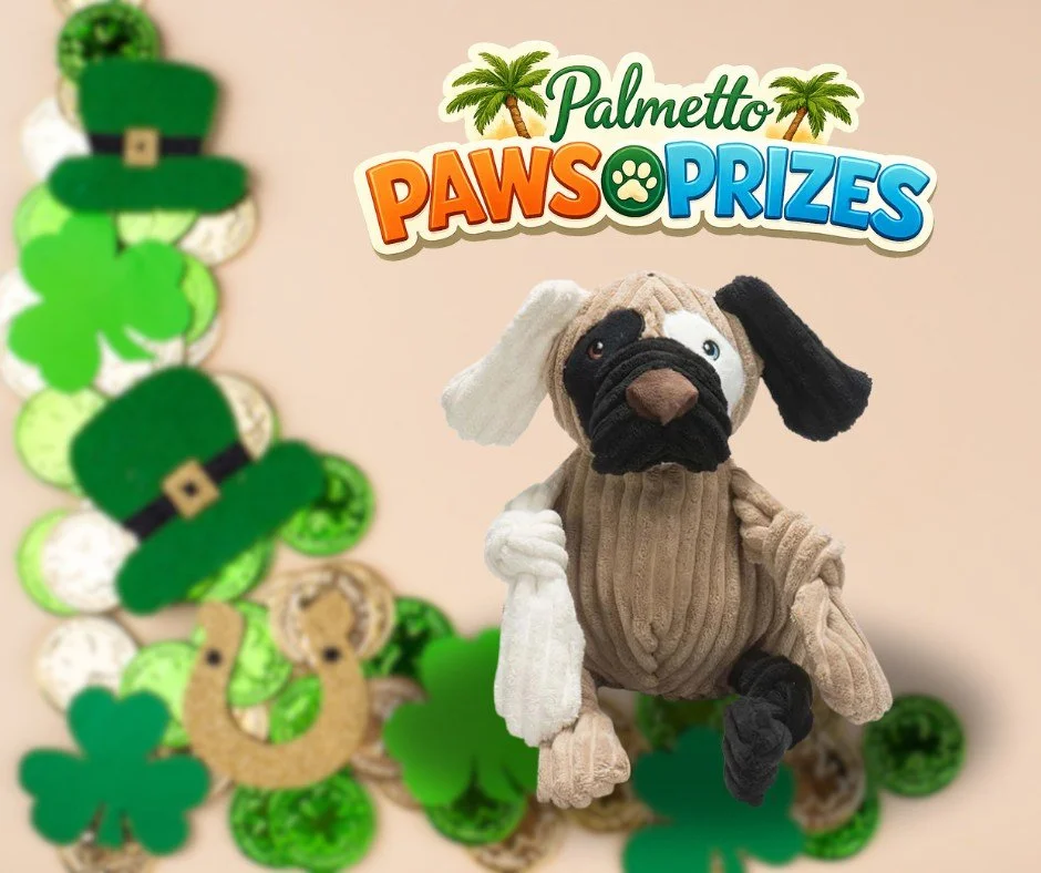 🎉 We&rsquo;re halfway through our giveaway time frame! 🎉

If you haven&rsquo;t entered yet&hellip; what are you waiting for?! It&rsquo;s SUPER easy to throw your name in the hat for a chance to win. 🐾

Just take a quick minute to enter here:
👉 ht