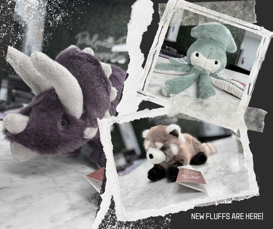 Happy Thursday!
Have you seen all the new Fluff &amp; Tuff toys that have landed in store? 

🐾Besides these three new friends - Claude the Squid, Charlie the Triceratops, and Archie the Squid; we also have Millie the Axolotl, Dotty the Puffer Fish, 