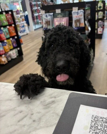 👅🐾Jamal, we feel you on the Monday vibes, buddy.🐾👅

But it's okay, we've only got 10 days left of April and then we're onto May. 🌼 That means only 10 days left to take advantage of our promos and to enter in our monthly giveaway, Paws &amp; Priz