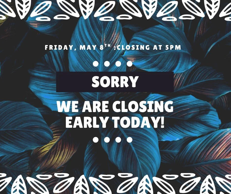 🕗Closing Early!🕗

We apologize for the inconvenience, but we're closing at 5pm today!
Stop in and see us before 5pm, or come by tomorrow from 9am - 1pm.

Thank you for your understanding!
-Palmetto Pet Supplies Team