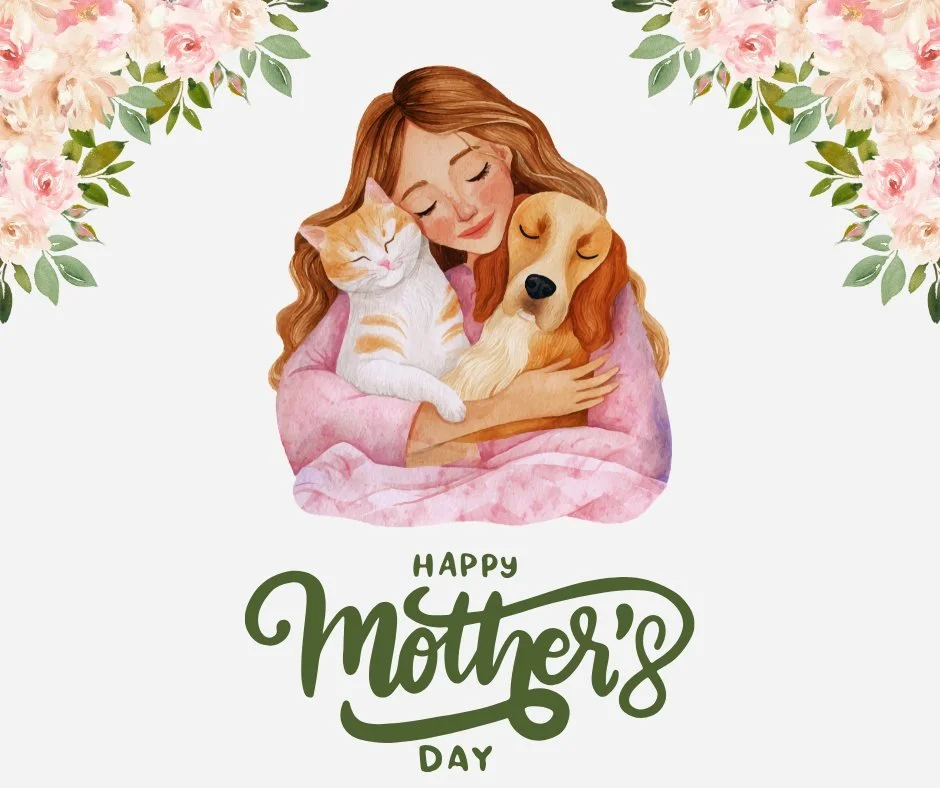🐾🌷 Happy Mother's Day! 🌷🐾

Happy Mother&rsquo;s Day to the women who somehow do it all&hellip; including sharing their beds, their snacks, and most of their personal space with their furry children. 🐾💕

Whether you&rsquo;re a dog mom, cat mom, 