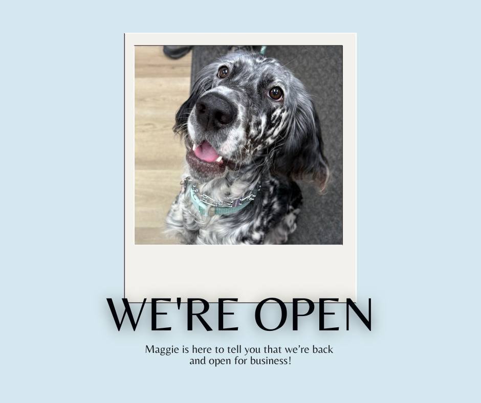 🐾 We&rsquo;re Open! 🐾

Maggie is here to let you know that after our short break, Palmetto Pet Supplies is back and ready to see all of our amazing customers! We can&rsquo;t wait to welcome you (and your furry friends) back into the store.