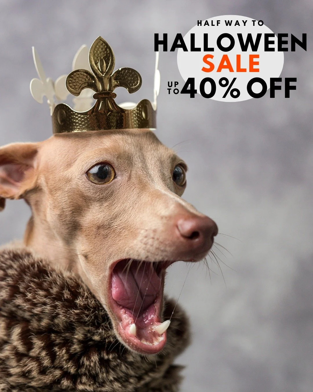 🐾🎃 DON'T BE ALARMED... 🎃🐾

We're only 150 days away from Halloween! 😱

Okay, okay... maybe that's a little alarming. But it's also the perfect excuse to start clearing out some spooky inventory during our Spring Cleaning Sale!

👻 Select Hallowe