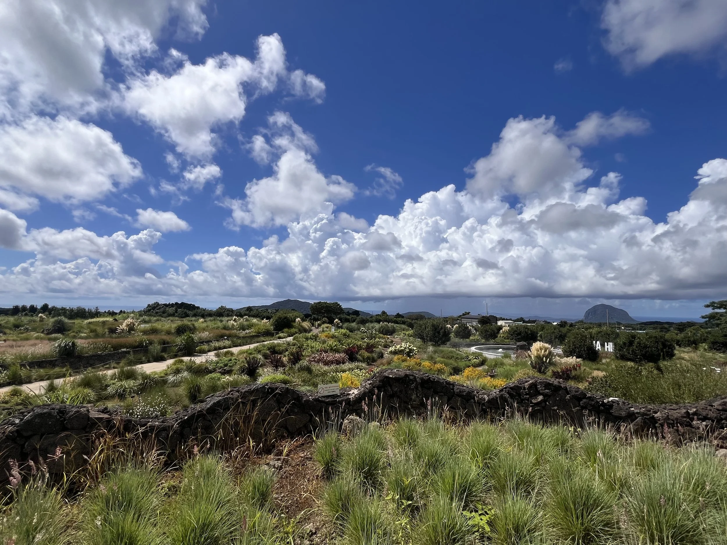 Designing with, for and alongside AI