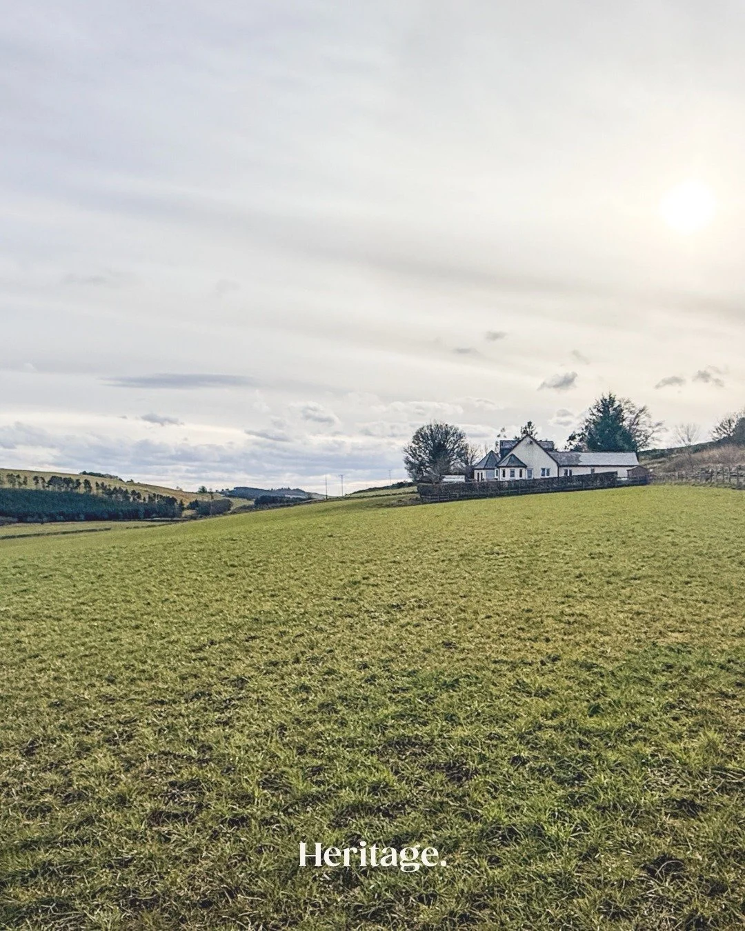 Say hello to Little Balloch &ndash; our newest countryside escape in Kirriemuir, now open for bookings 🏡

Tucked away in a peaceful setting with stunning views, this beautifully finished holiday home is the perfect place to slow down, switch off and