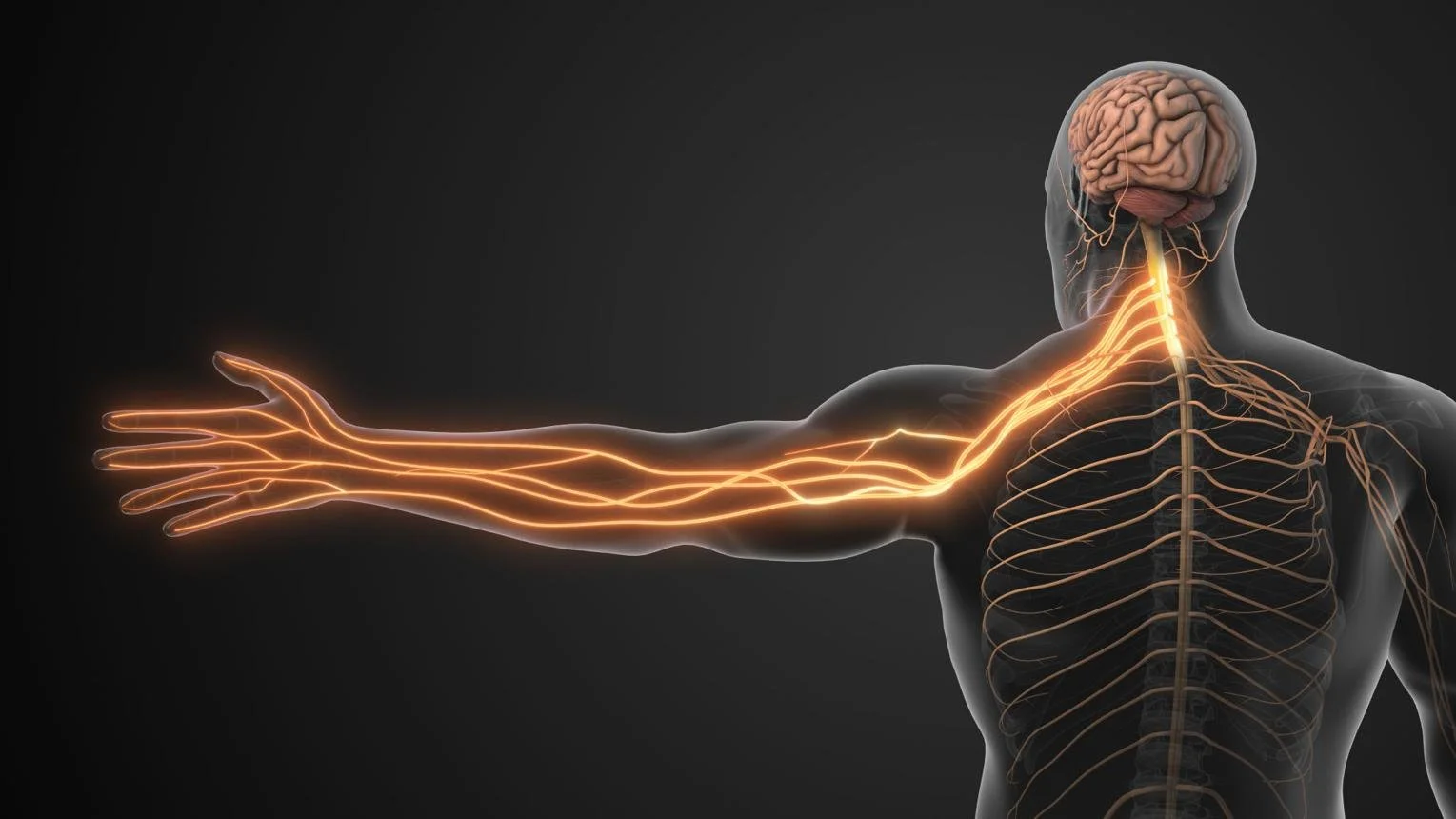 Cervical Radiculopathy