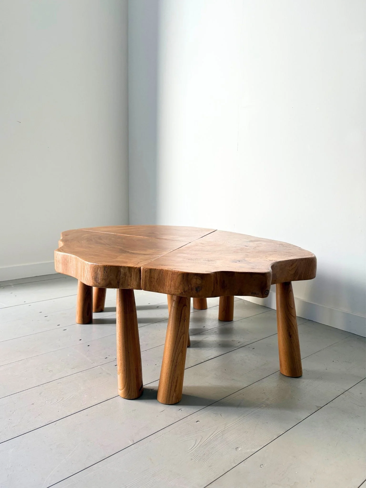 Segmented table 1.jpg