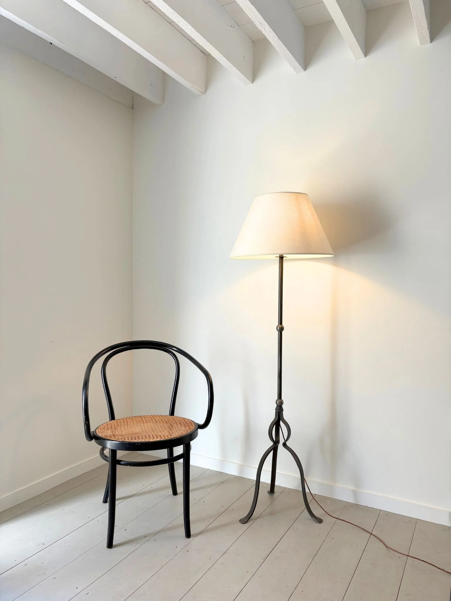 Iron Floor Lamp (1).jpg