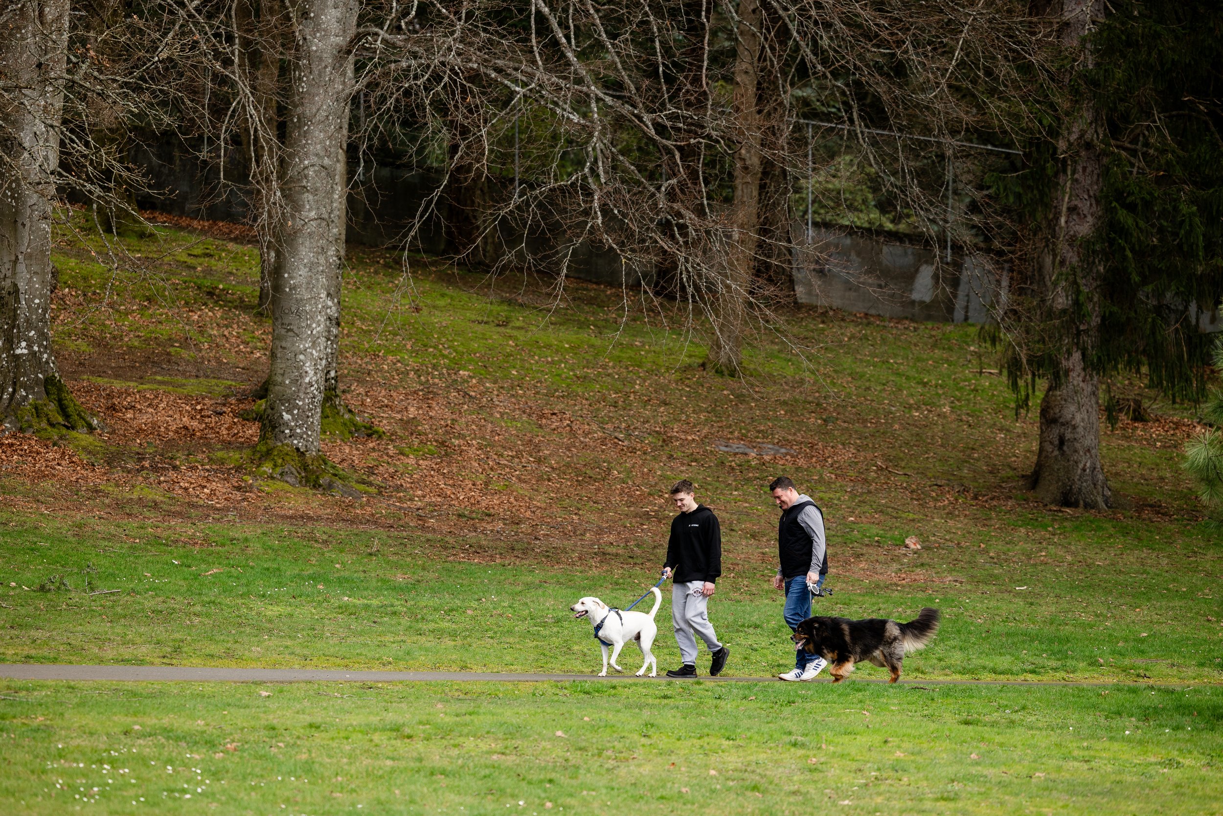 Two men walking dogs on leash in a park with grass, trees, and leafless branches.