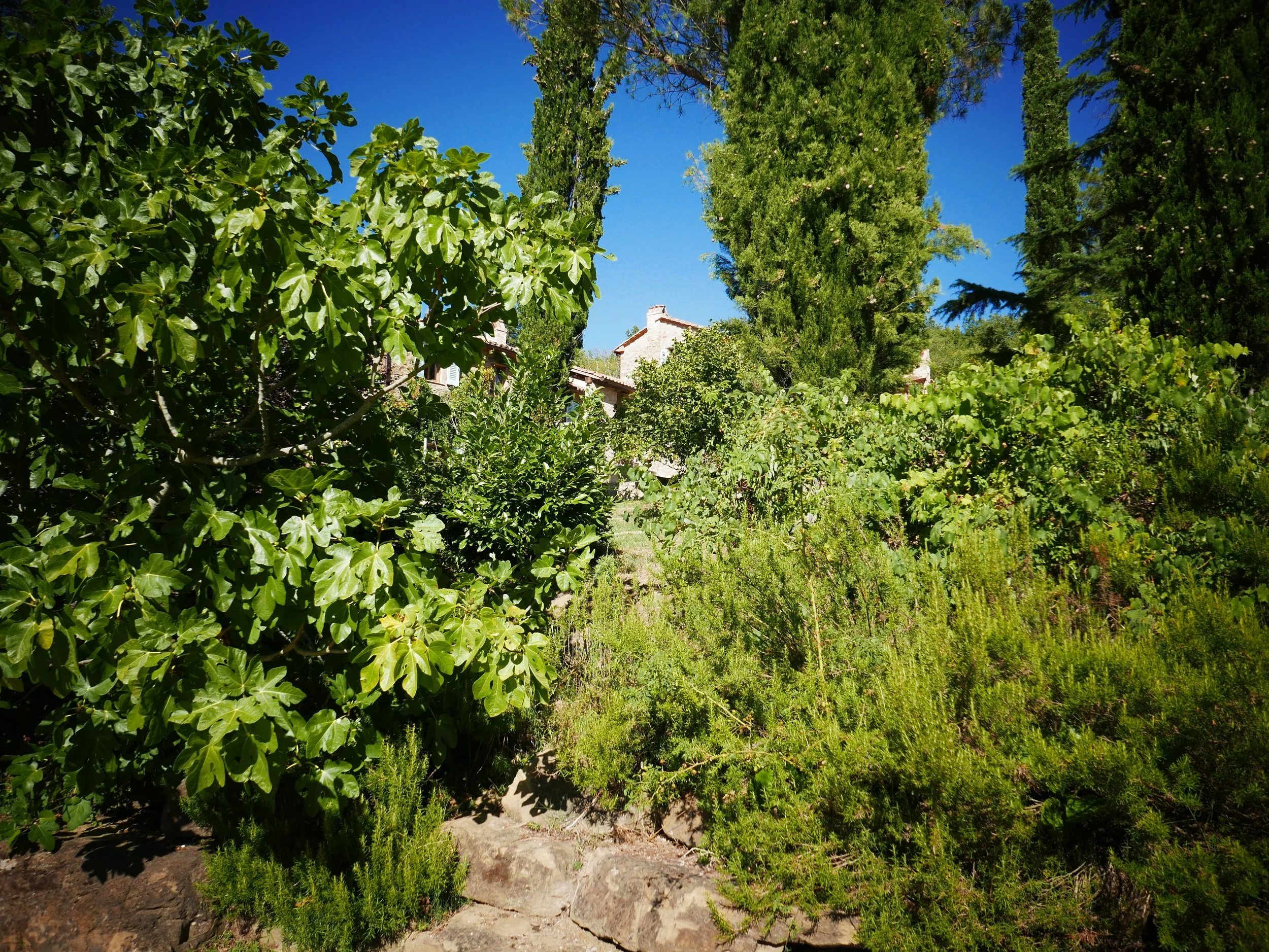 L1000985.JPG