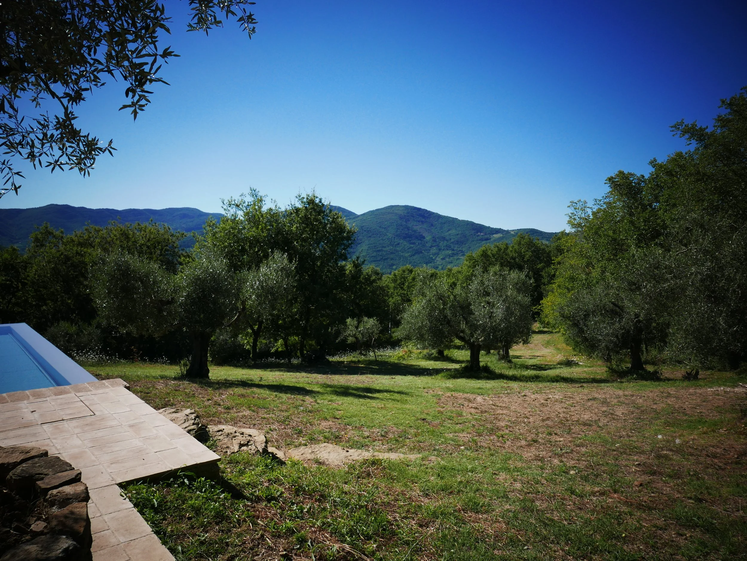 L1000979.JPG