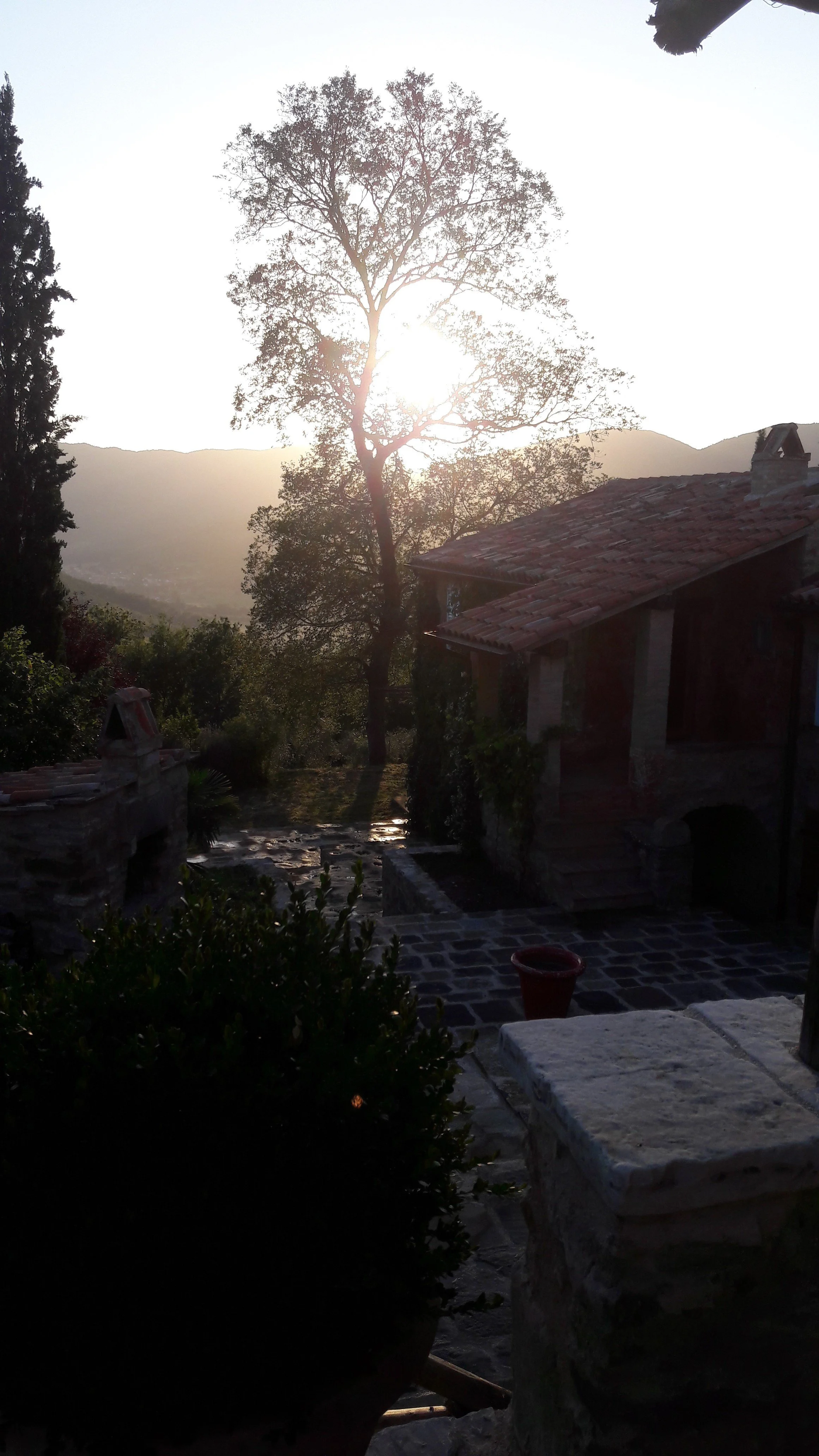 20160627_200839.jpg