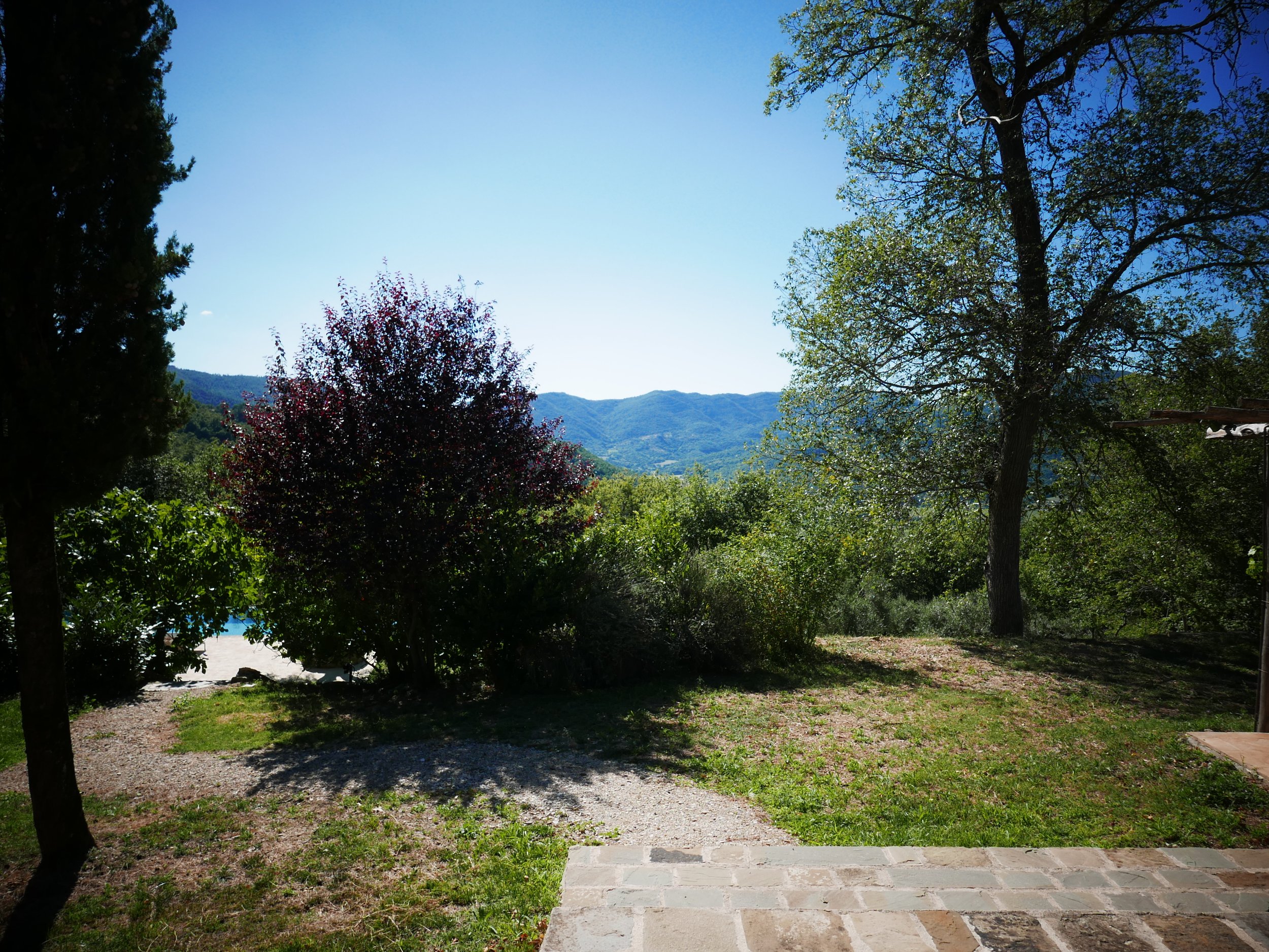 L1000975.JPG