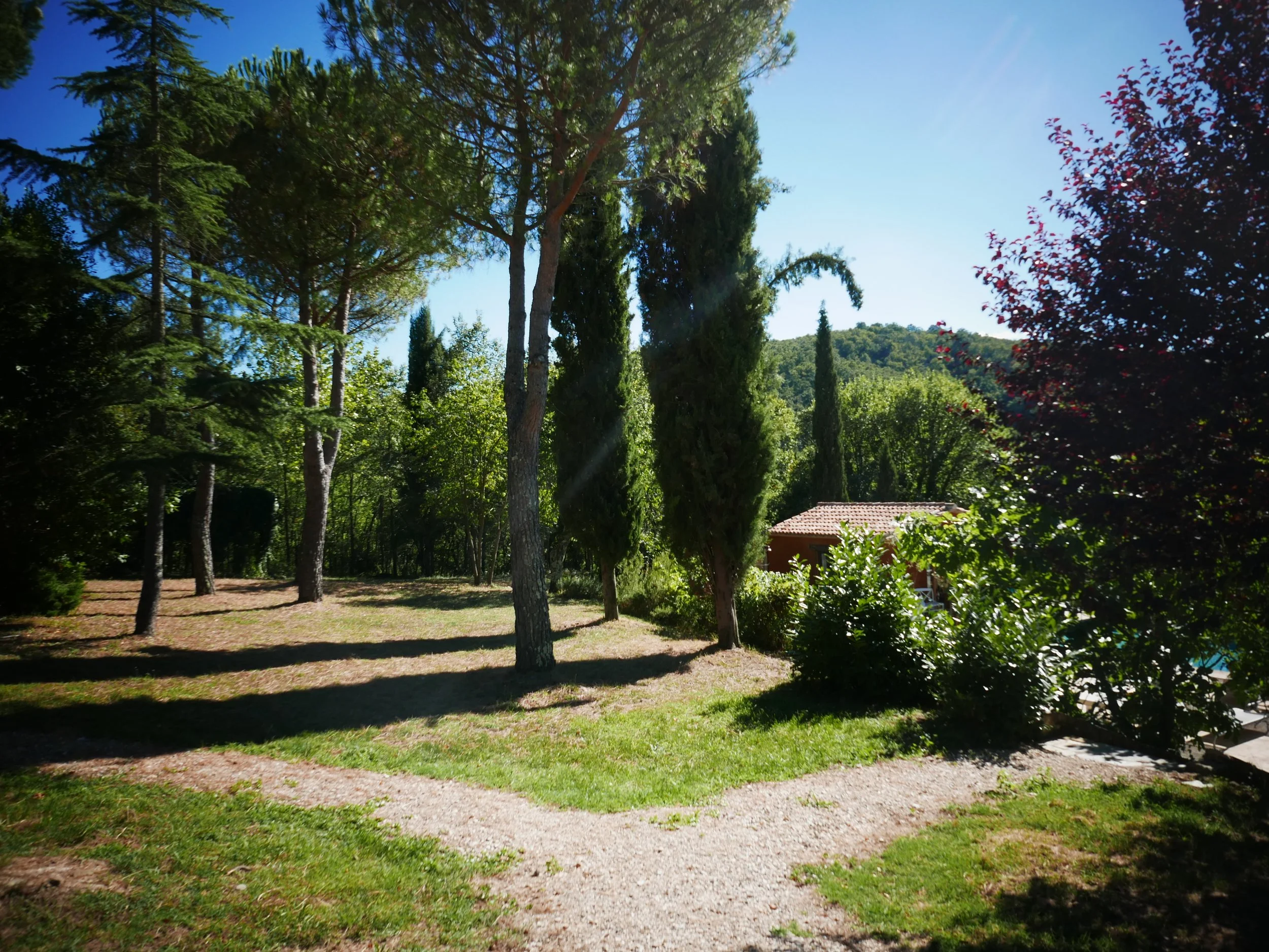 L1000977.JPG