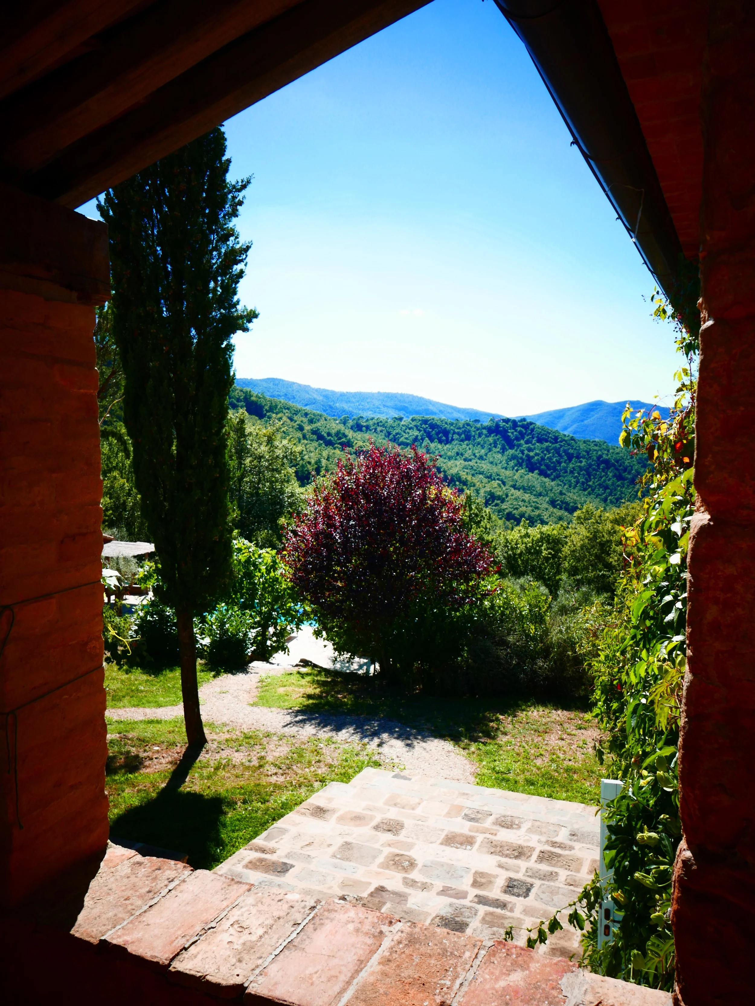 L1000935.jpg