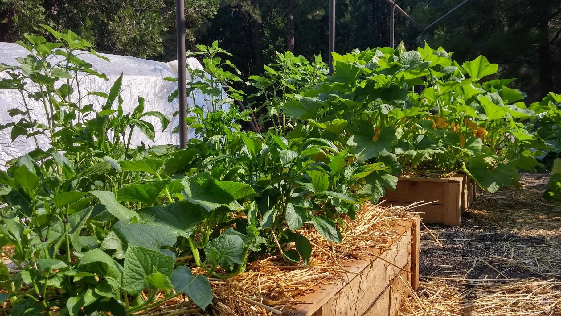 Cultivating and Funding Your Research&nbsp;