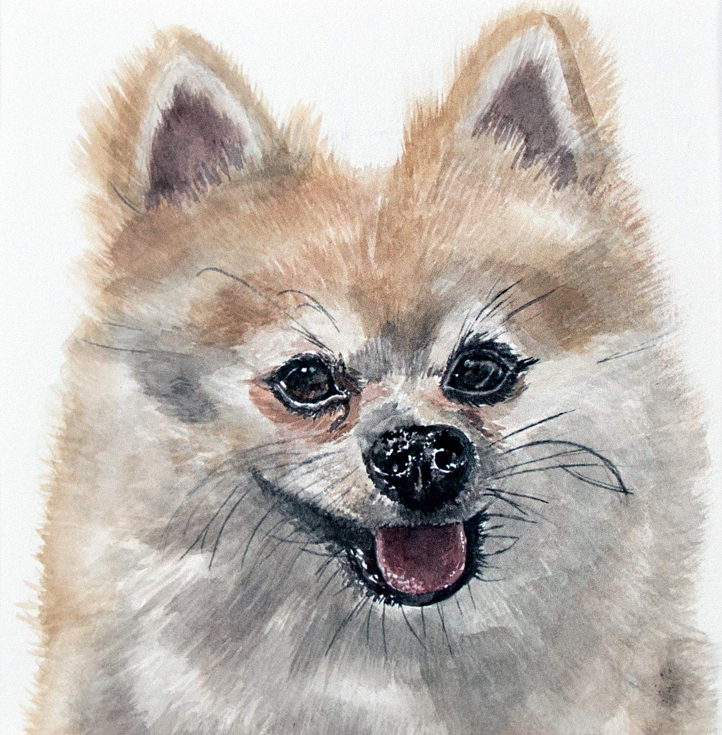 MilothePomeranianFINAL.png