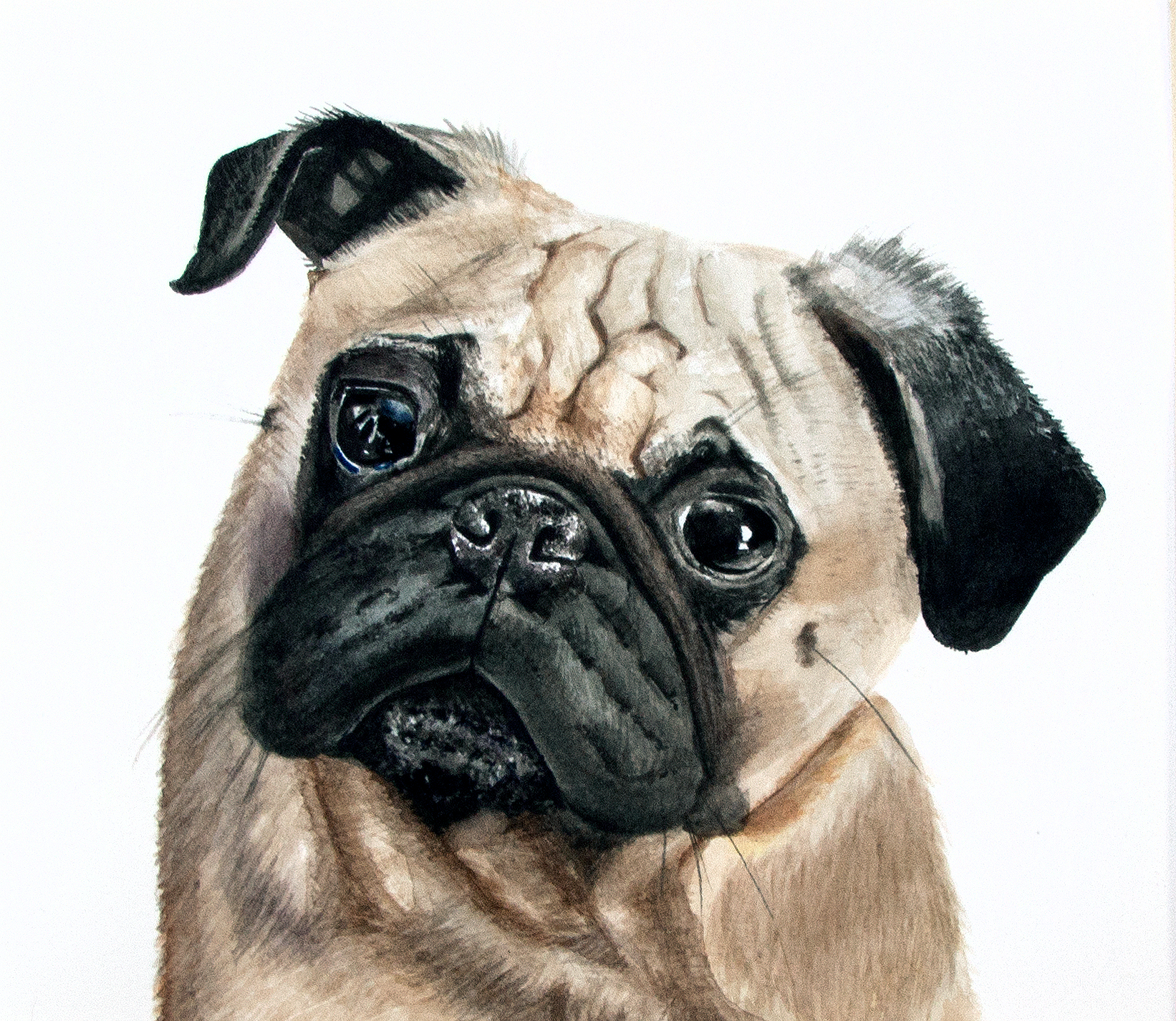 LucythePugFINAL.png