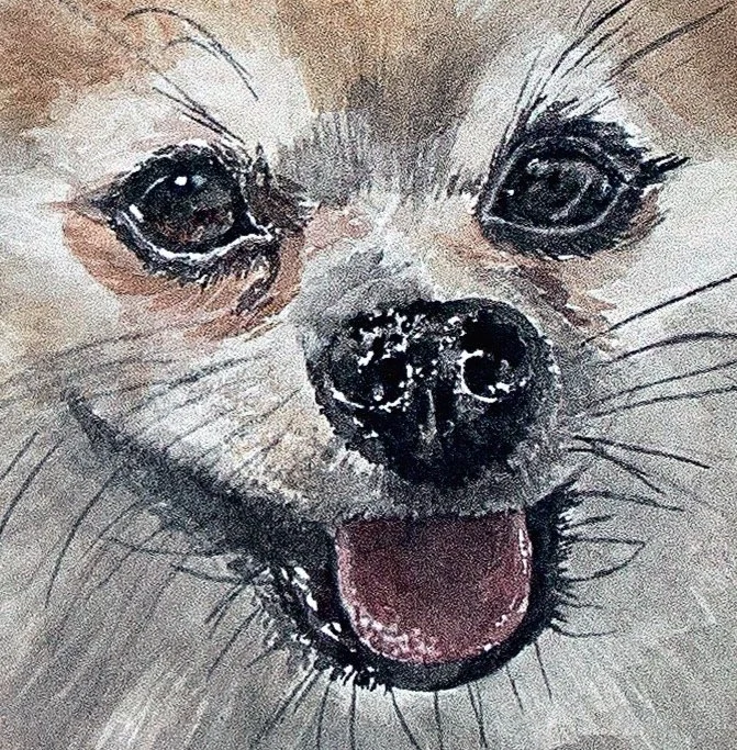 MilothePomeranianFINAL.jpg