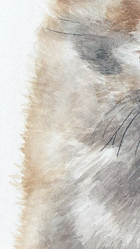 MilothePomeranianFINAL.jpg
