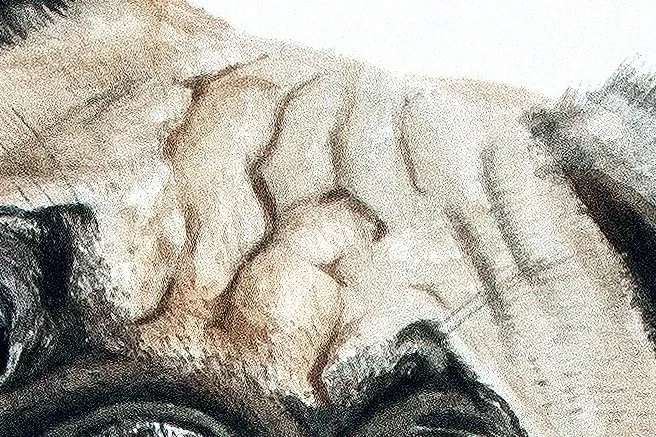 LucythePugFINAL.jpg