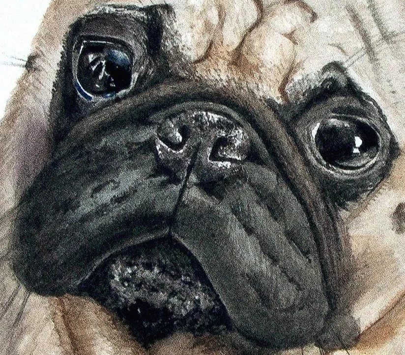 LucythePugFINAL.jpg