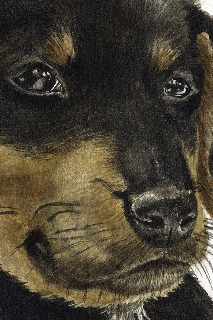 MiloTheGrumpyPuppyFINAL.jpg