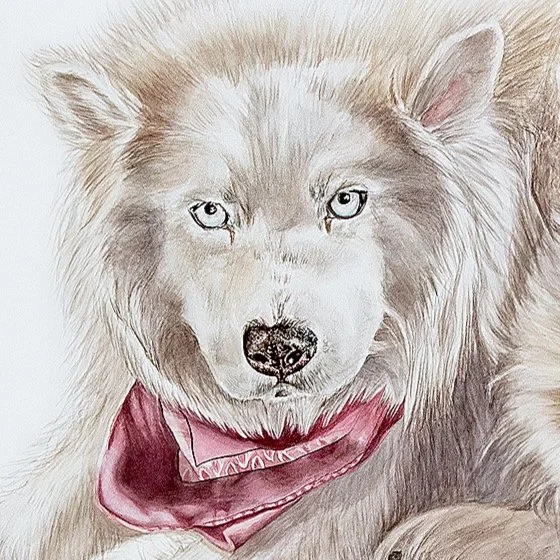 SylvietheHuskyFINAL2.jpg