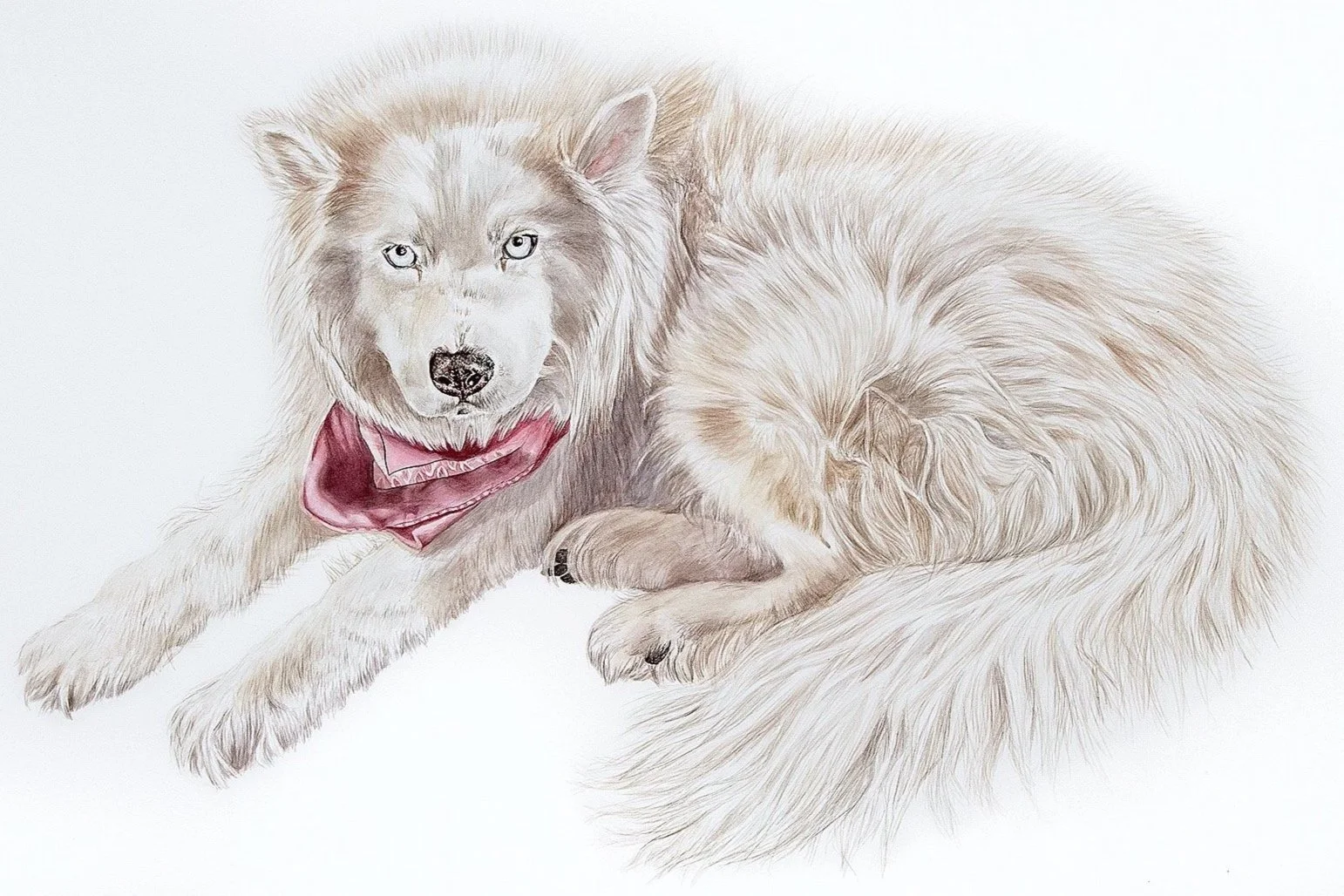 SylvietheHuskyFINAL2.jpg