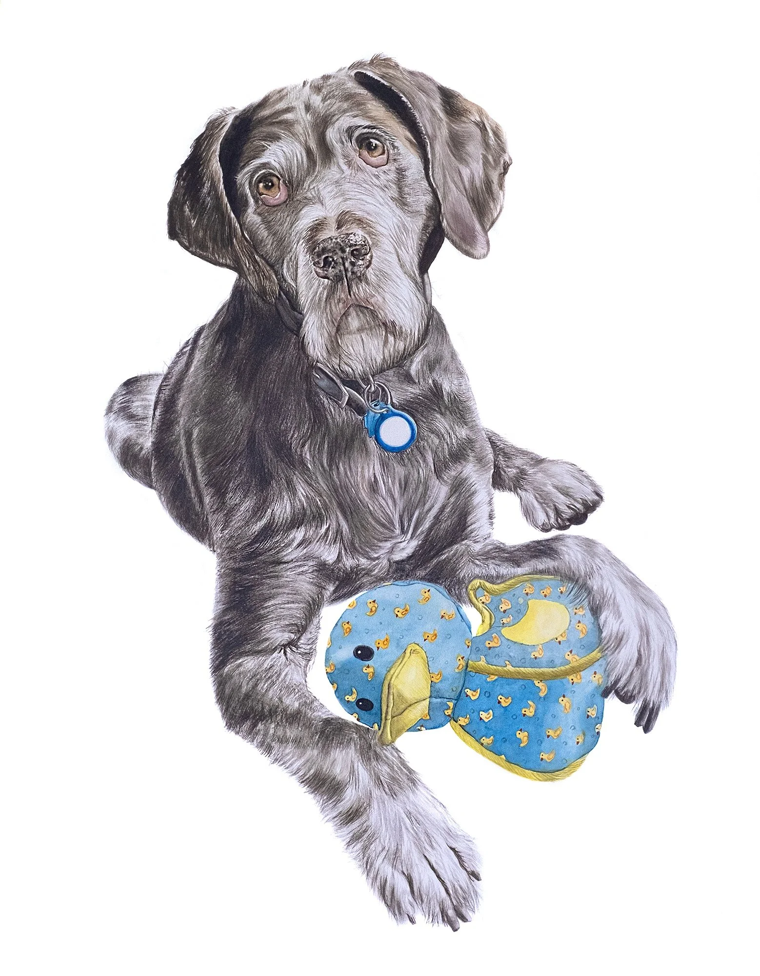 MaxtheBirdDog.jpg