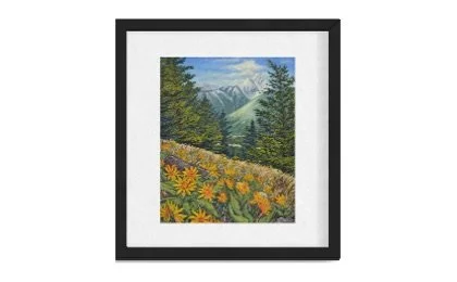 Blooming Balsam Root, 11”x 14”