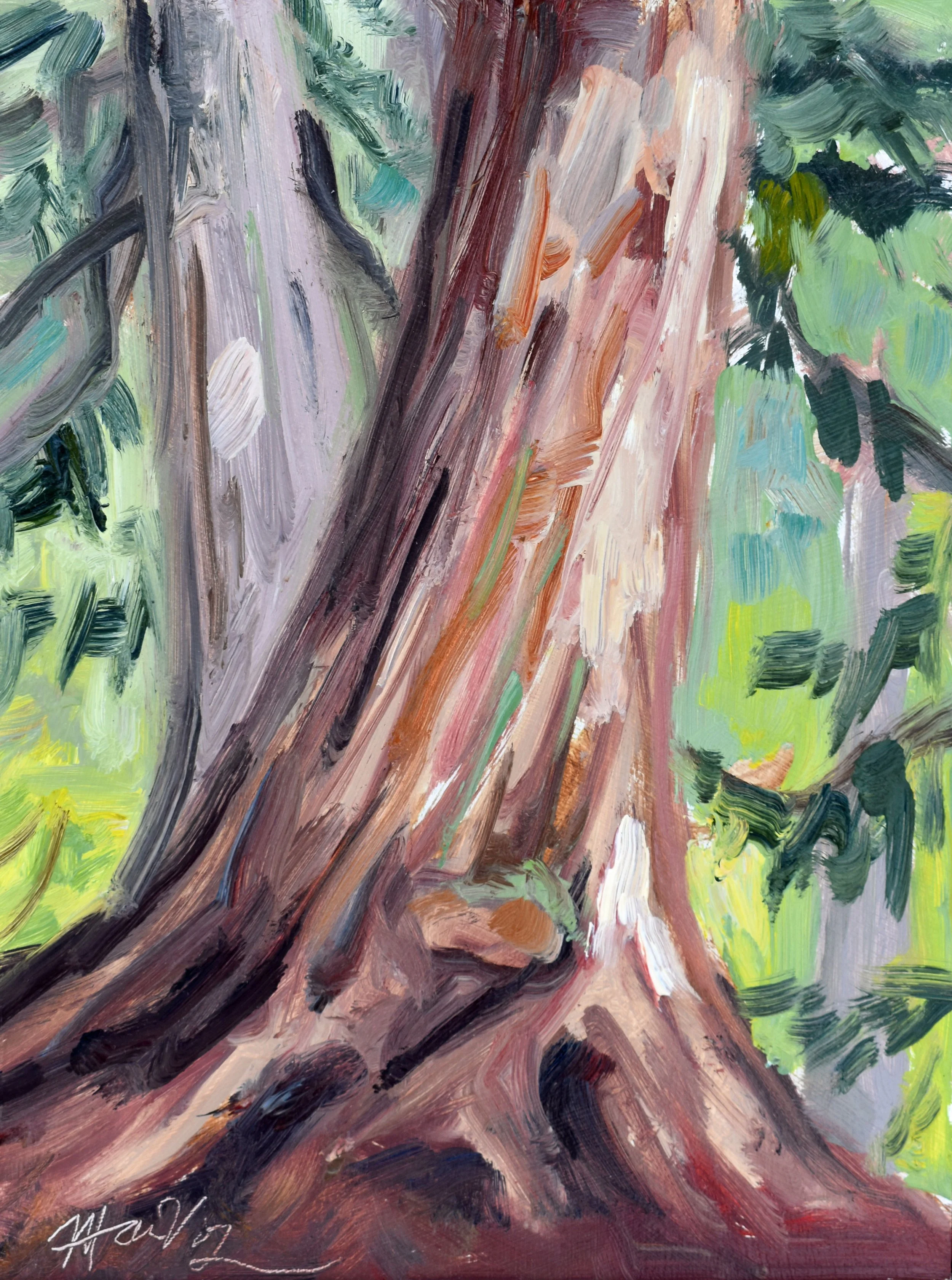 Plein Air Cedar - Melanie MacVoy.jpg