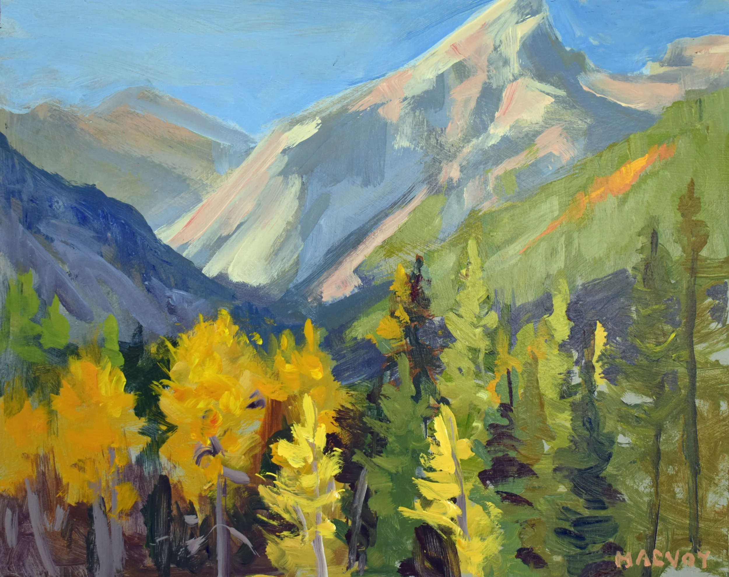 2026, Aspens Aglow, 8x10.jpg