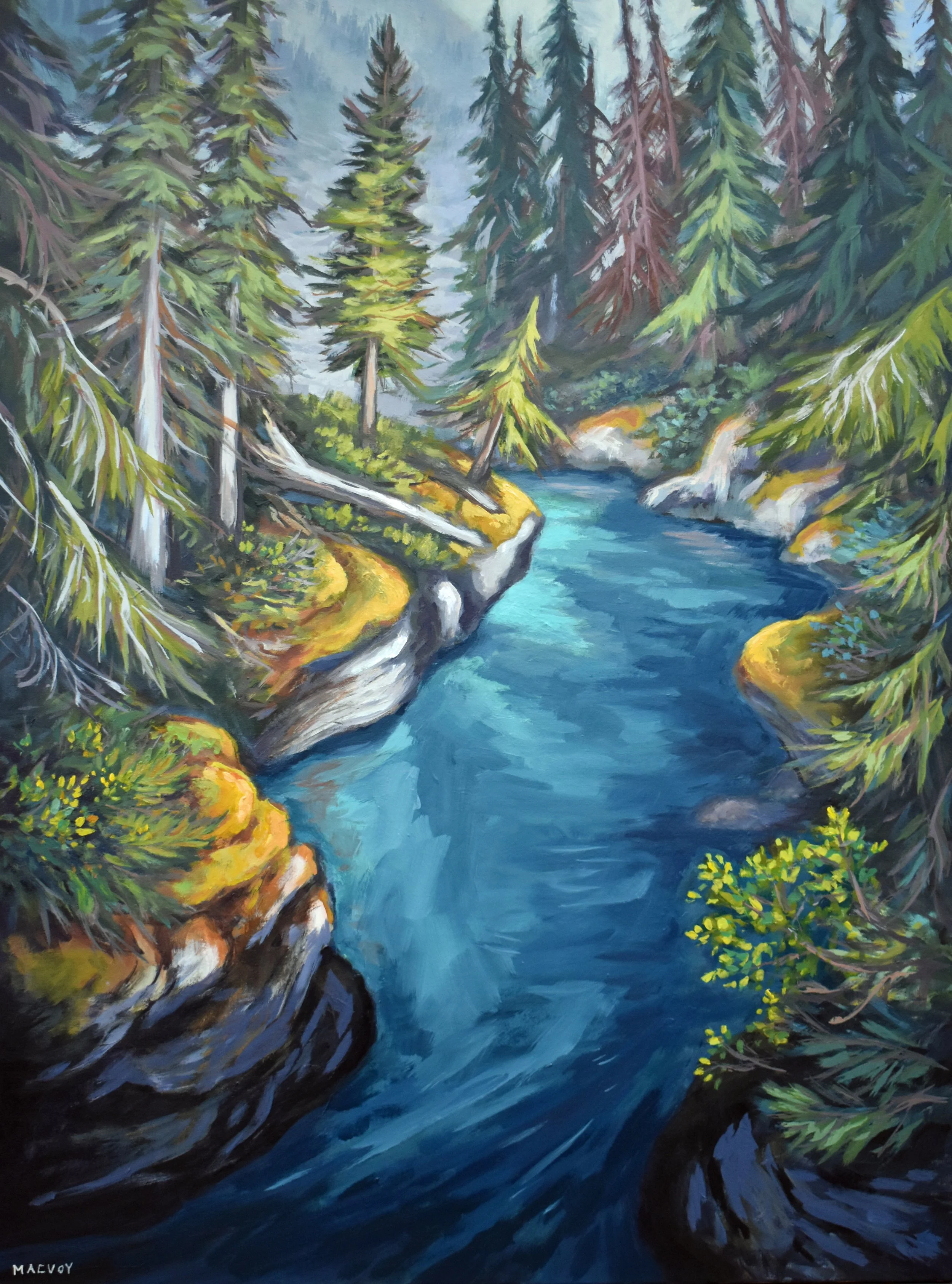 Spirits of The Forest